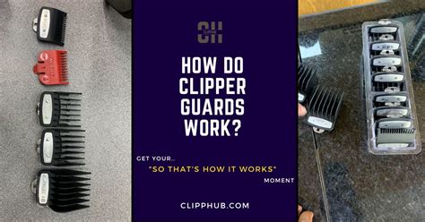How to Use Clipper Guards 的图像结果
