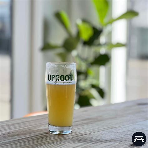 The complete Magic City brewery trail! - REV Birmingham | REV Birmingham