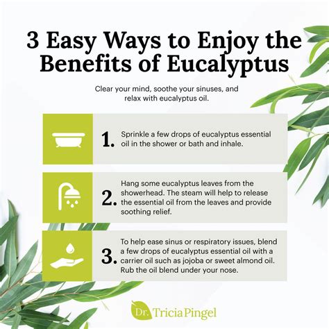 3 Easy Ways to Enjoy the Benefits of Eucalyptus | Eucalyptus essential ...