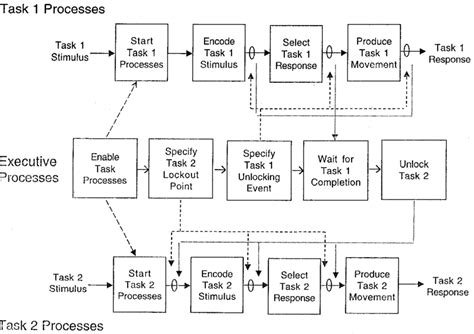 Image result for Executive Control Processes