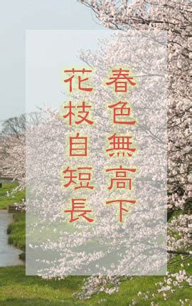 有花堪折直须折，莫待无花空折枝