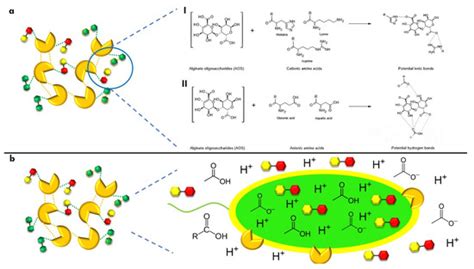 New Perspectives in the Fight Against Multidrug-Resistant Bacteria: The ...