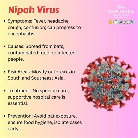 Nipah Virus: Symptoms, Causes, and Treatment Options