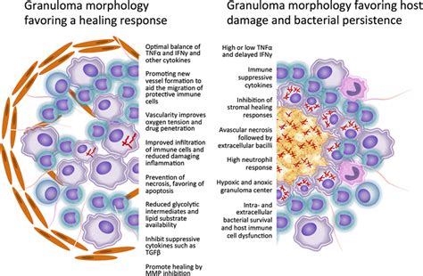 Image result for Machine Learning vs Deep Learning Inforgraphic