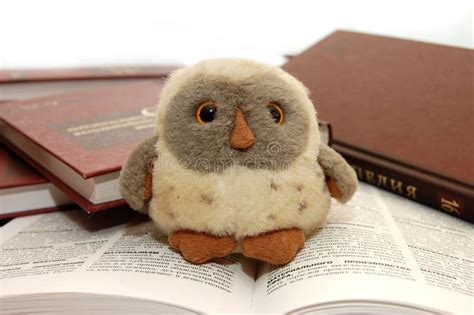 Symbol of Knowledge 的图像结果