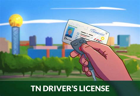 Tennessee Driver’s License Renewal Guide