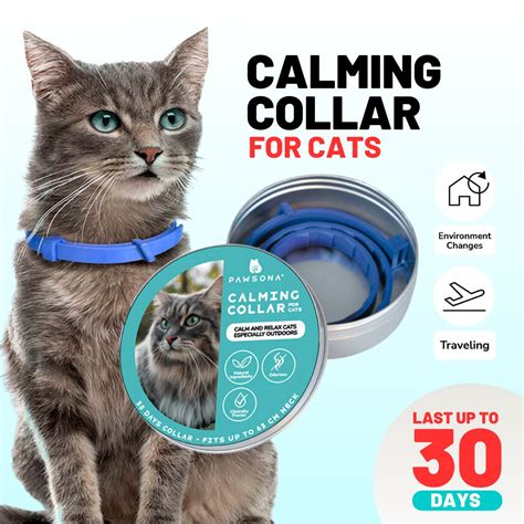 Cat Calming Collar – Reduce Stress & Antisocial Behavior in Cats – Pawsona