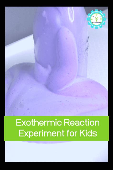 Elephant Toothpaste Reaction Explained 的图像结果