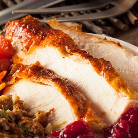 Freeze Dried Roasted Turkey Slices Food Meal - India | Ubuy