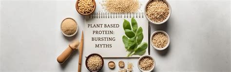 Plant-based protein: Debunking the Myths – NAKPRO NUTRITION