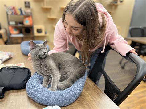 Planet Purrrk Club - Oshkosh Area Humane Society