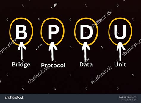 Protocol Data Unit 的图像结果