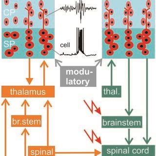 Image result for 4th Sem Cortex-M0 Overview Unit 1