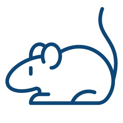 Image result for Send in CDISC