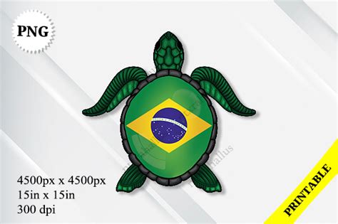 Image result for Brazil Flag Python Turtle Code