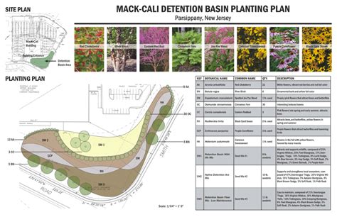 Image result for Planting Design Programs