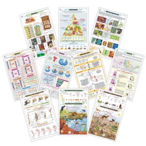 Naturos Scientific Co. | A house of Scientific Dealers