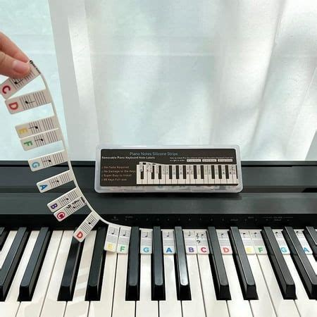 Image result for Piano Notes Labeled