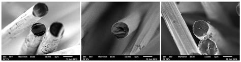 Potentials of Polyacrylonitrile Substitution by Lignin for Continuous ...