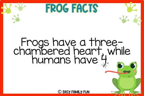 What Are 5 Interesting Facts About Frogs at Lucinda Mckellar blog