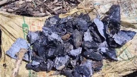 Soiled Currency Notes Worth Lakhs Discovered During Digging At Moti ...