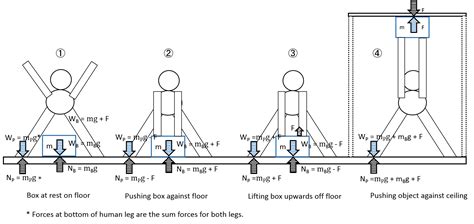 Image result for Normal Force