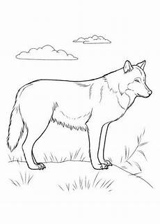 kostenlose malvorlagen wolf wolf 3 ausmalbilder ausmalen und wolf kostenlose malvorlagen wolf wolf 3 ausmalbilder ausmalen und wolf