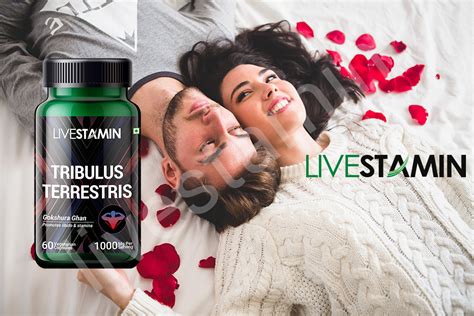 Tribulus terrestris 60 Veg Capsules – livestamin
