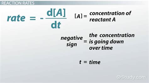 Image result for First Order Reaction Rate Equation