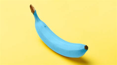 Image result for Blue Java Banana Recipes