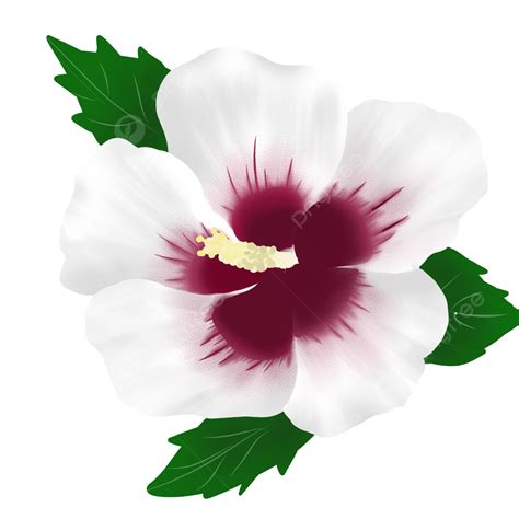 What Is South Korea S National Flower at JENENGE blog