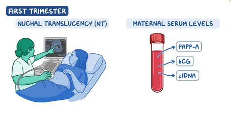 Maternal Serum Screening