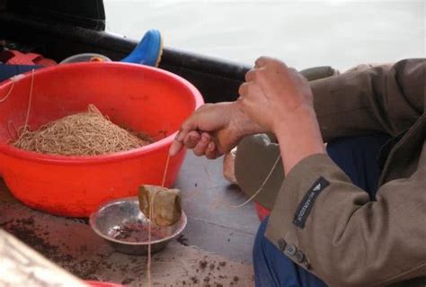 流传在民间的捕鱼方法“排钩钓鱼”一条主线上拴几百个鱼钩