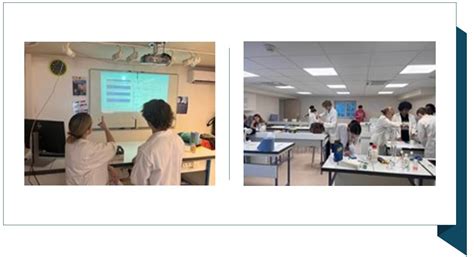 Image result for IB Student Collaborative Project