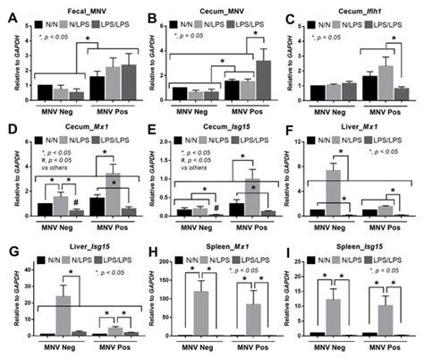 Lipopolysaccharide Tolerance Enhances Murine Norovirus Reactivation: An ...
