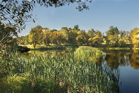 Pixabay Free High Resolution 的图像结果