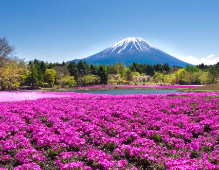 Spring Annotations Tutorial 的图像结果