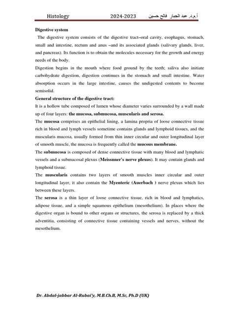 Image result for Digestive System Lecture