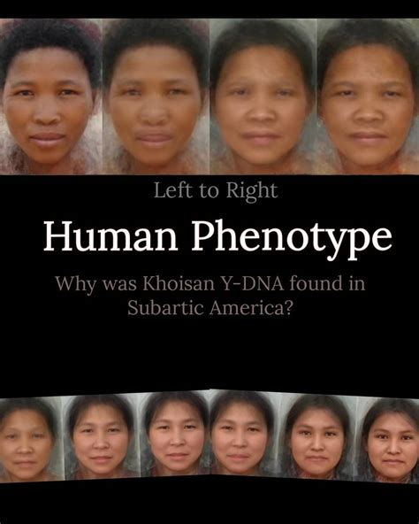 Phenotype In A Sentence