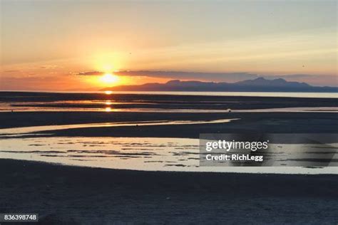 Image result for Example of Research Sample Project