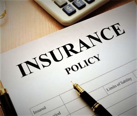 Insurance Types 的图像结果