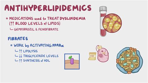 Antihyperlipidemics - Fibrates: Nursing pharmacology - Osmosis Video ...