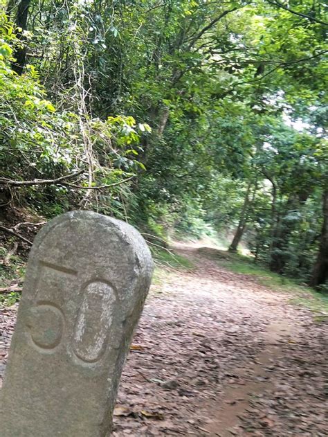 The Best Mankulam Resorts 2025 (with Prices) - Tripadvisor