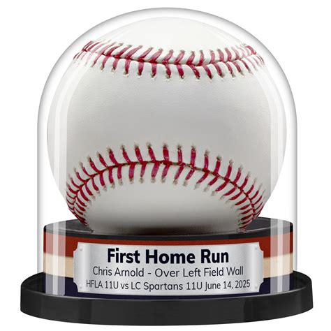 Display Quality Baseball Display Case - Balldome.com