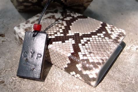 Image result for Python Modules Clips