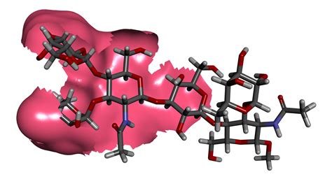 Sh2 Lewis Structure
