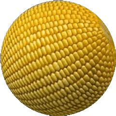 Image result for Top Python Codes