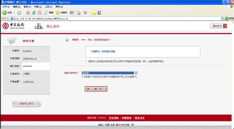 中国银行网上支付流程 - 服务大厅 - 支付宝