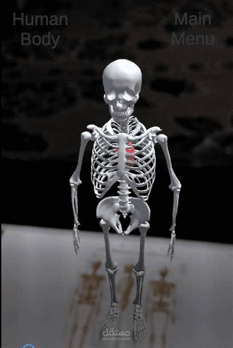 Image result for App Store AR App