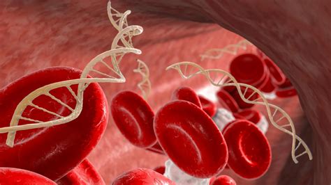 Breakthrough in Blood Cancer Treatment: Using "Junk DNA" to Enhance Existing Therapies ...